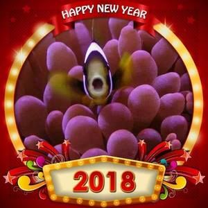 Meet your Posher, Doug